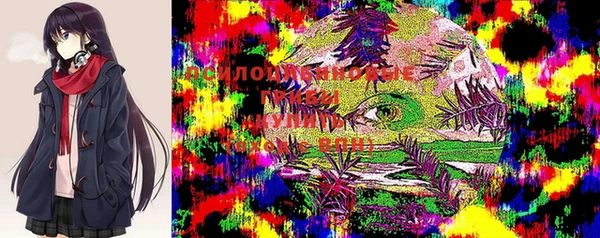 гашик Покровск