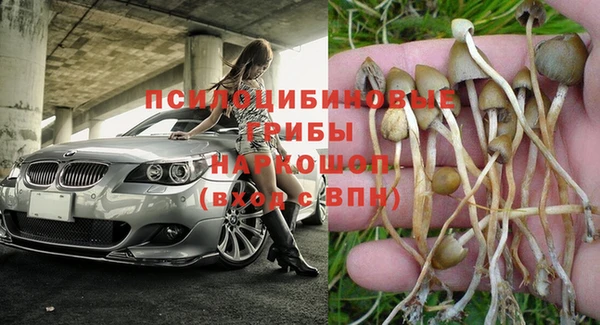 гашик Покровск