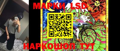 mdma Аргун