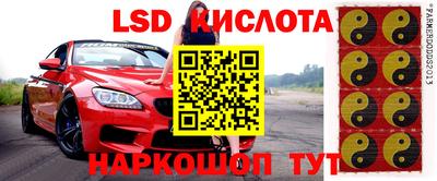 прущие грибы Балаково