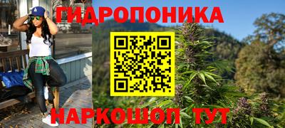 mdma Аргун