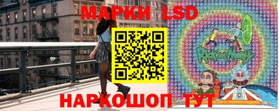 mdma Аргун