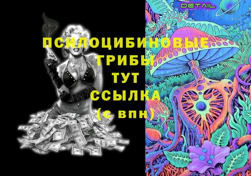 Псилоцибиновые грибы MAGIC MUSHROOMS  Луховицы 