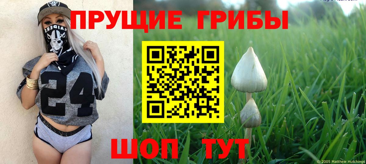 Псилоцибиновые грибы MAGIC MUSHROOMS  Луховицы  Галлюциногенные грибы Psilocybe 