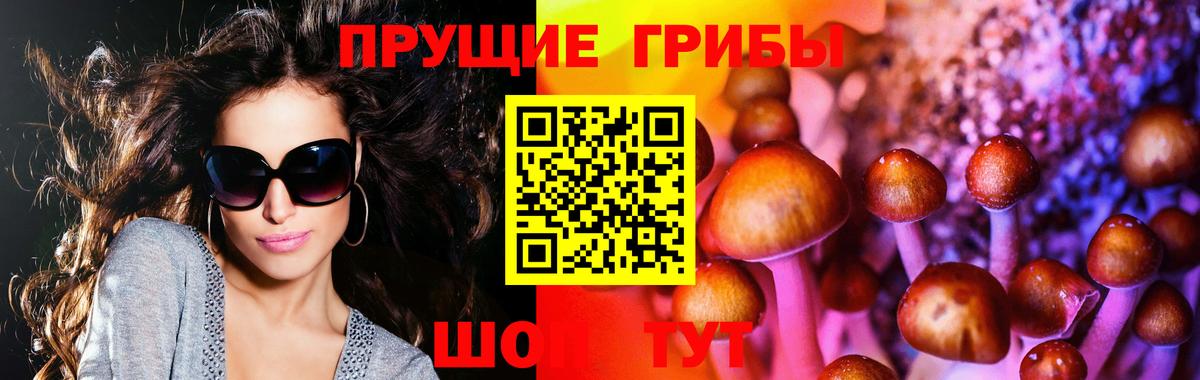 Луховицы  цены наркотик  Вход с VPN  Галлюциногенные грибы GOLDEN TEACHER 