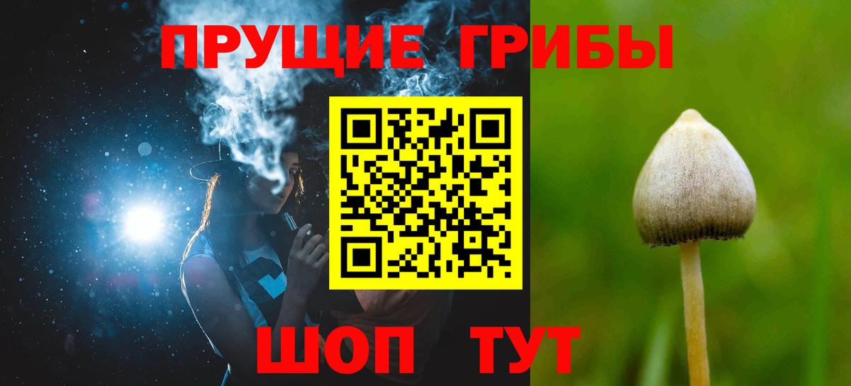 Галлюциногенные грибы прущие грибы Луховицы